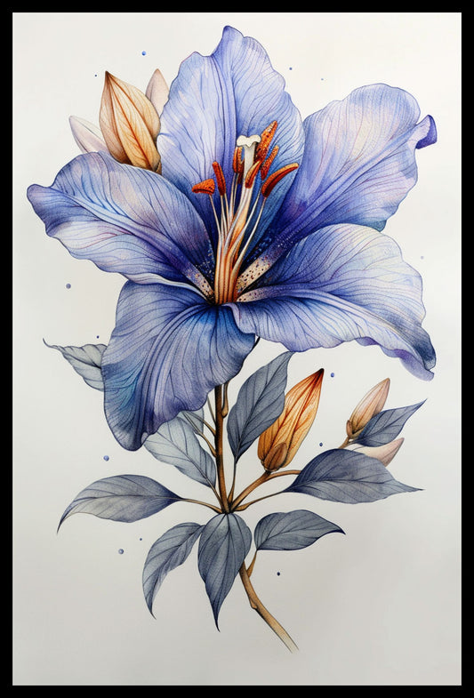 Elegant Blue Lily
